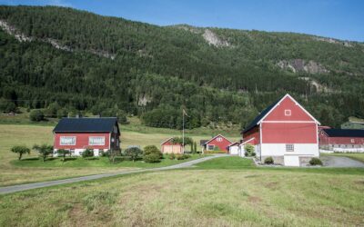 Besøk hos gamle kjente i Innvik